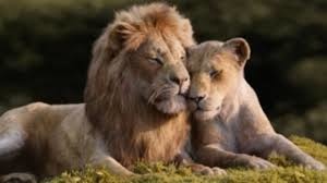 【電影】獅子王The Lion King @貝大小姐與瑞餚姐の囂脂私蜜話